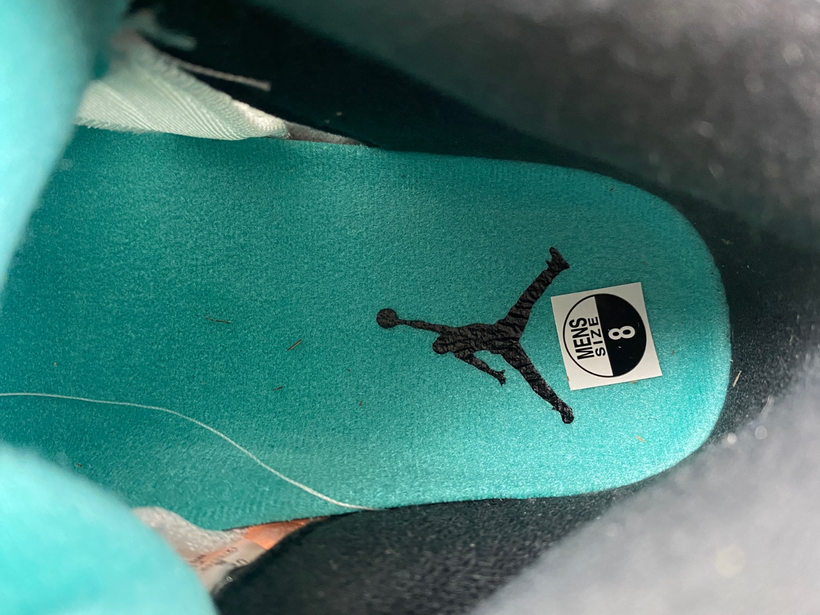 Air Jordan 5 Retro