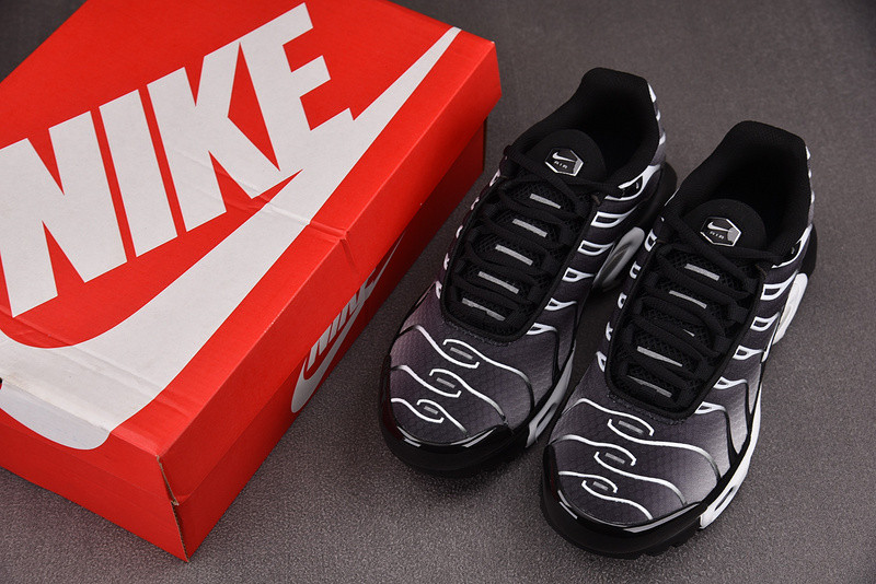 Nike Air Max Plus